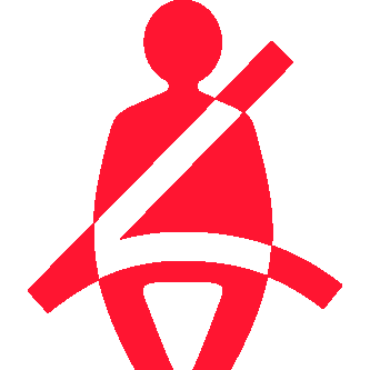 Seat Belt Reminder Indicator